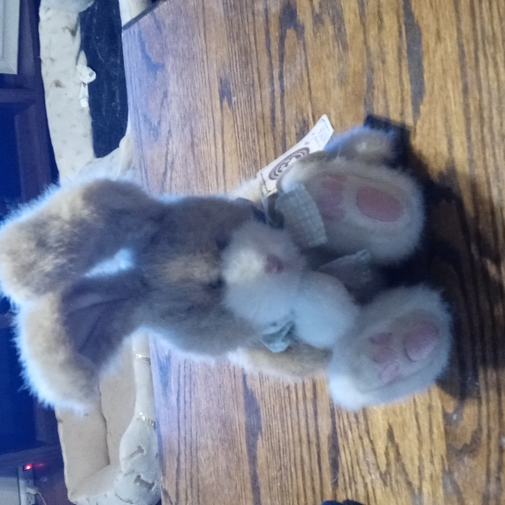 Boys bear